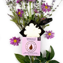 Load image into Gallery viewer, Spongelle Boxed Flower French Lavender White (14+ Washes)
