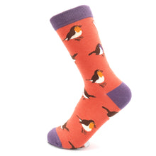 Load image into Gallery viewer, Miss Sparrow Robins Bamboo Socks
