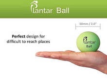 Load image into Gallery viewer, Plantar Ball
