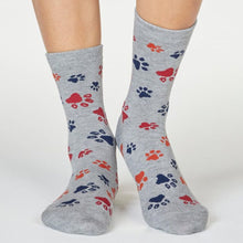 Load image into Gallery viewer, Zelma Dachshund Socks In A Bag Multi Coloured
